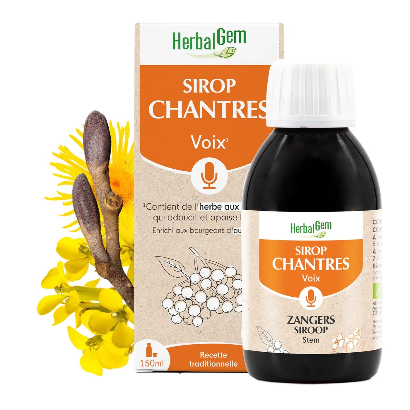 Box and bottle of HerbalGem Chantres syrup, between yellow flowers and buds