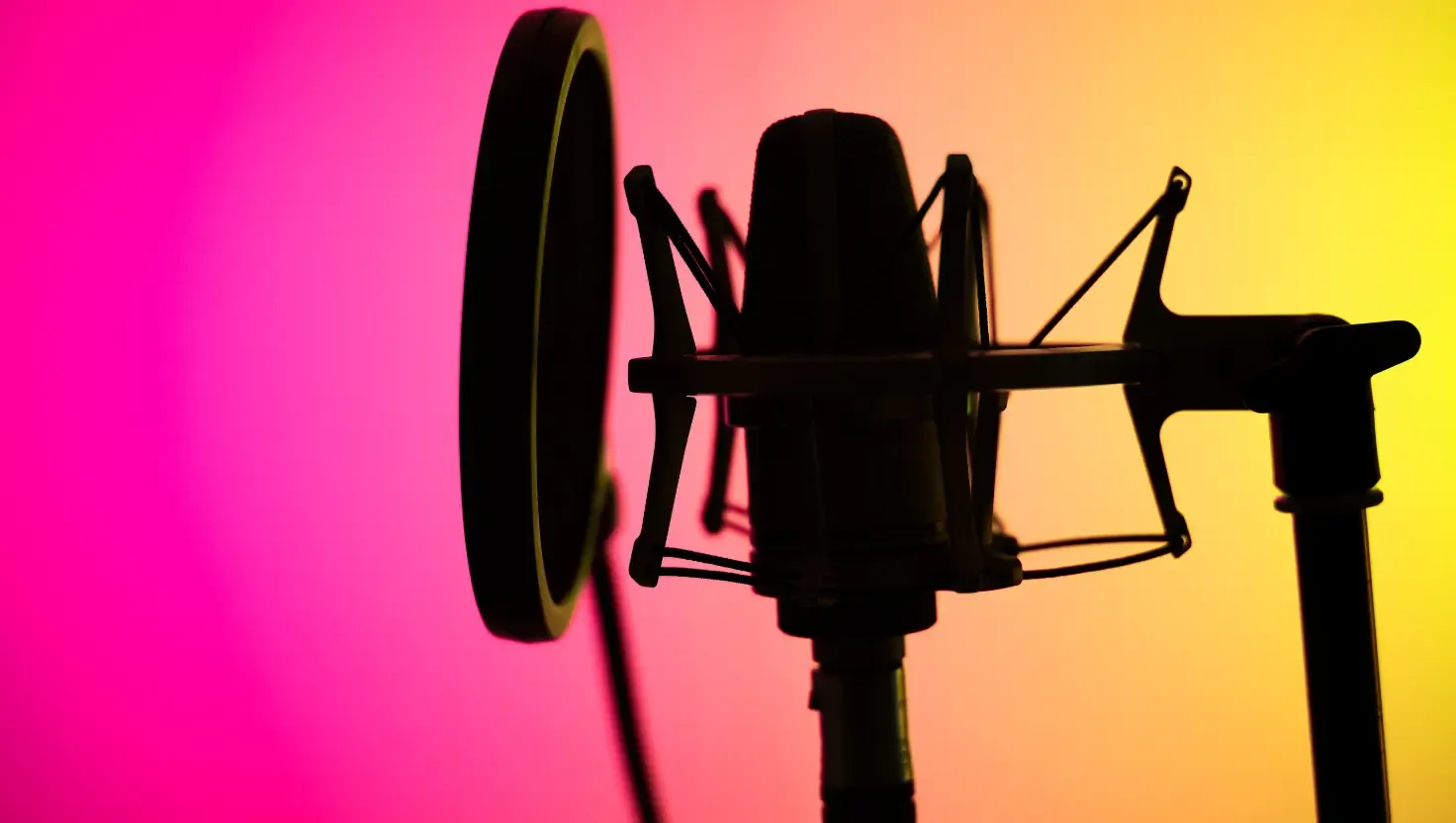 Professional microphone illustrating voice over definitions and the work behind the microphone