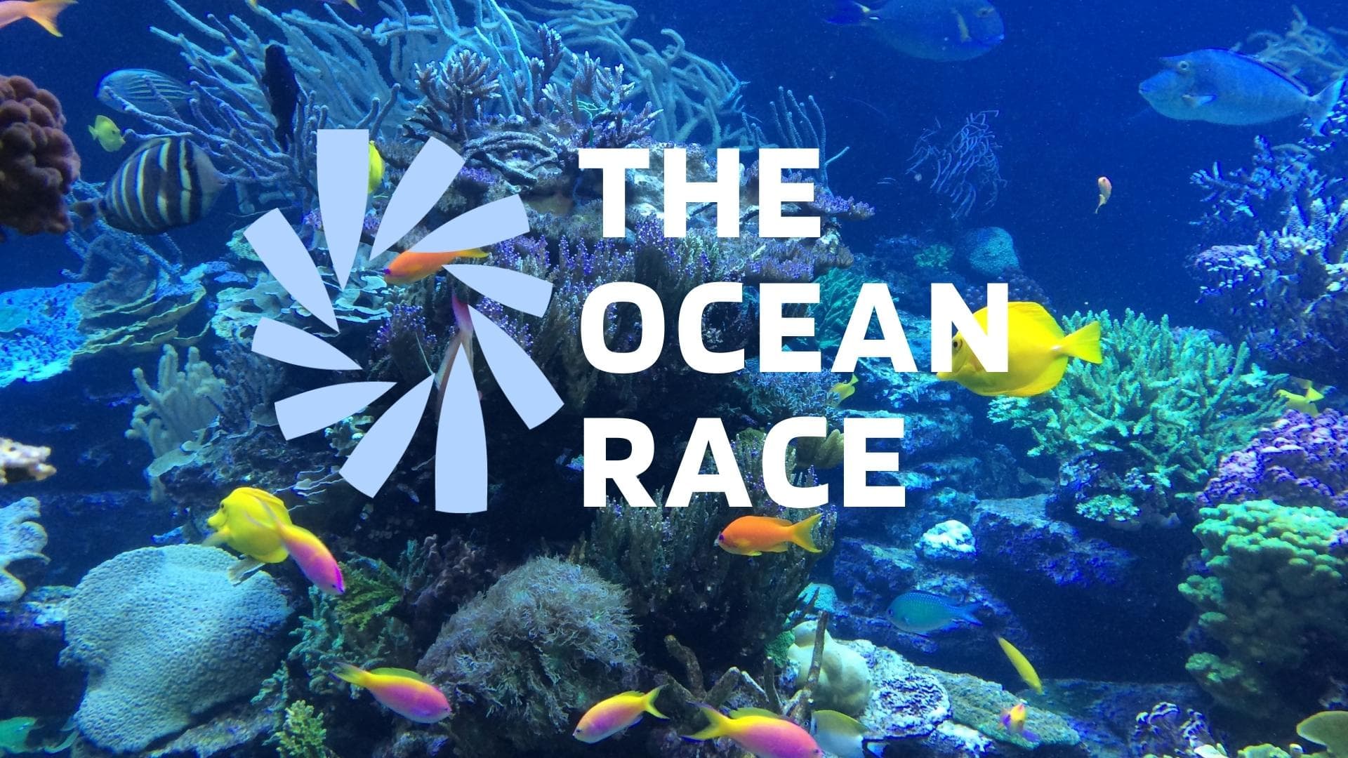 Voix off enfant film documentaire "The Ocean Race"