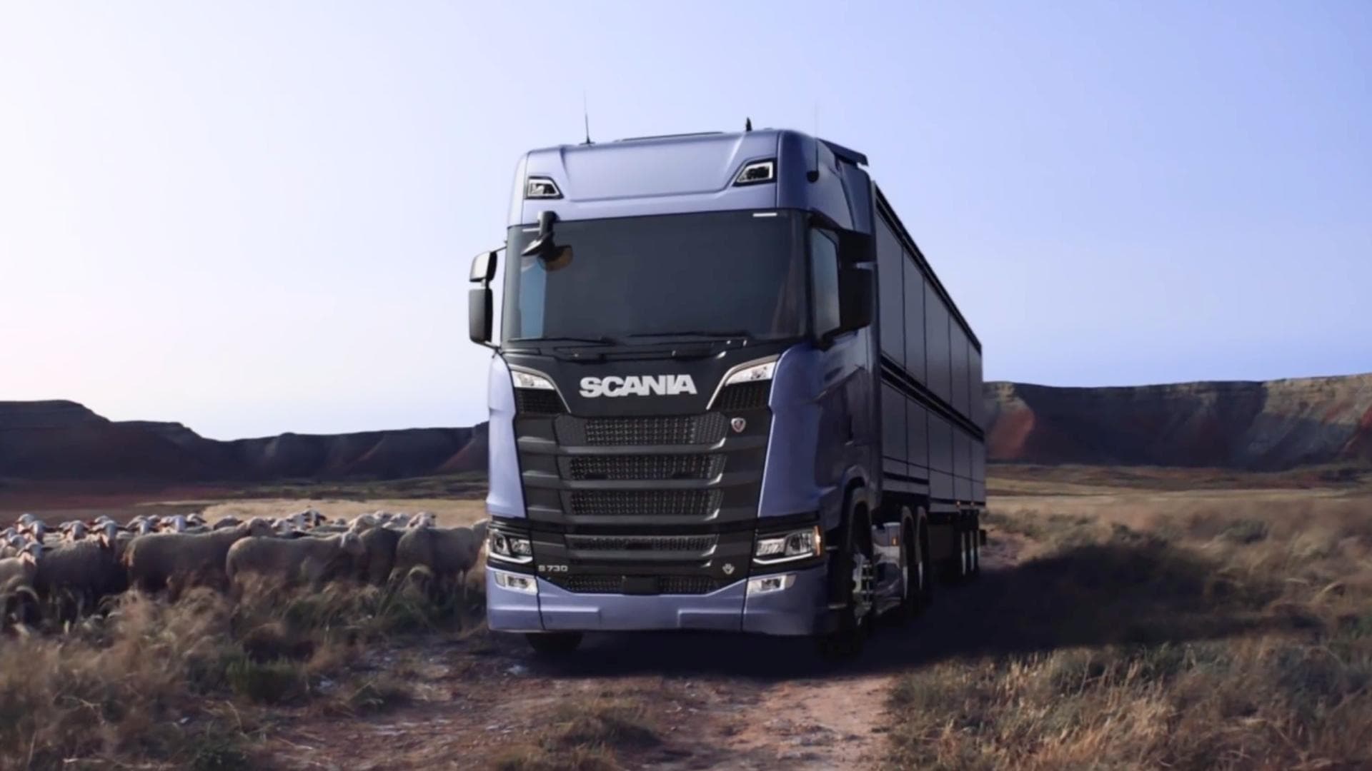 Scania bétail